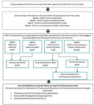 Australian Maltreated Infants and Young Children Can Achieve Positive Relational Health With Neurodevelopmentally- and Trauma-Informed Interventions Provided Within Relationally-Positive and Stable Environments